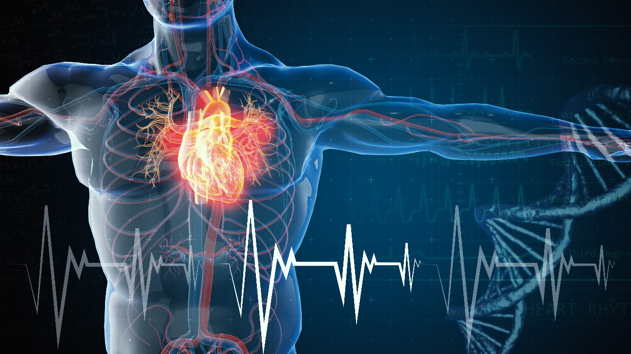 Quadros leves e moderados de Covid-19 podem provocar alterações cardiovasculares